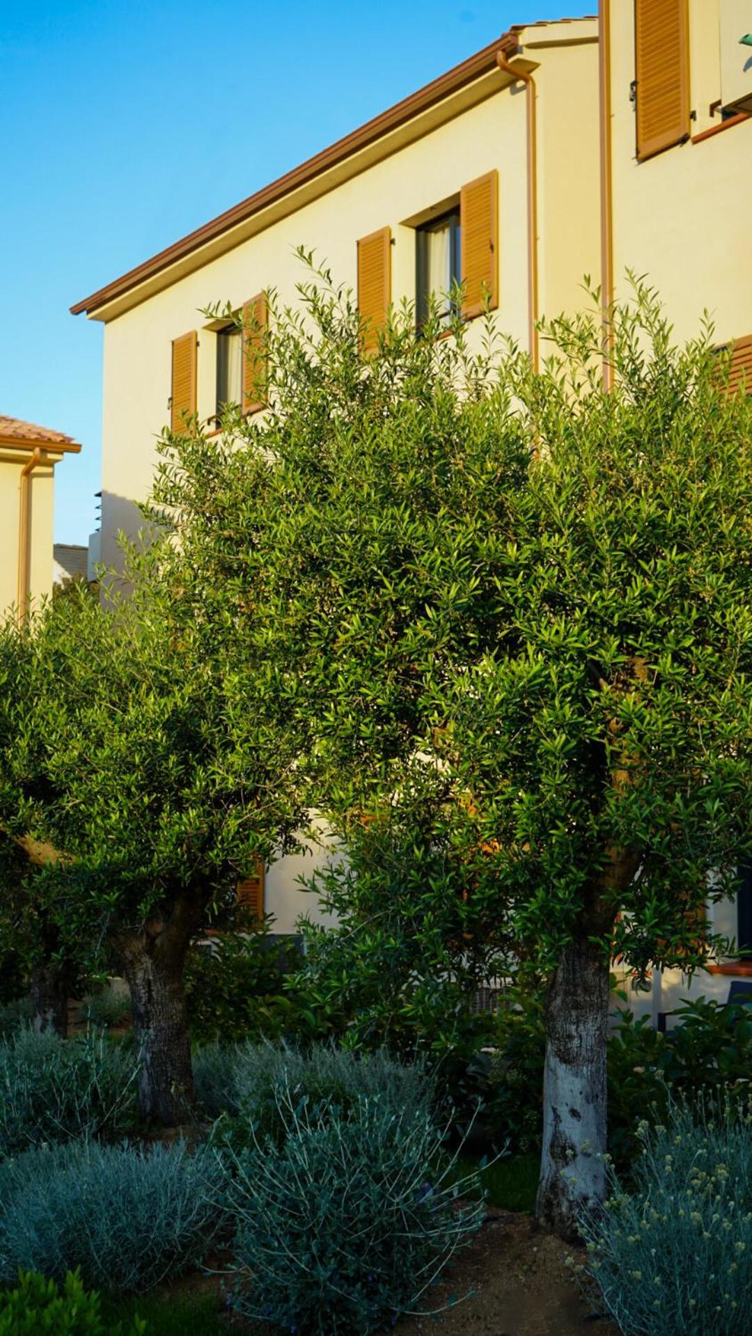 Residence Catalina Saint-Florent  Eksteriør billede